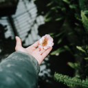 crackerjacksman avatar