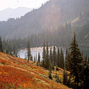 cracklingfires-blog avatar