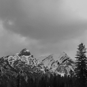 crackmonkeytrash avatar