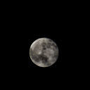 cracksunflower avatar