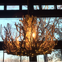 craftygeminicreation avatar