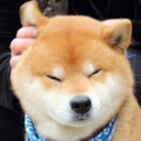 cranberrryjuice avatar