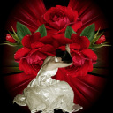 cranberrydreams avatar