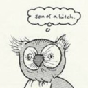 crapnacklenut avatar