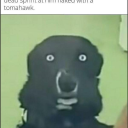 crappy-dubs-au avatar