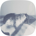 crappycrapper avatar