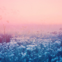 craptasticcreature avatar