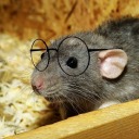 crashing-parties-in-the-cemetery avatar