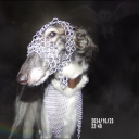 crashingcarss avatar