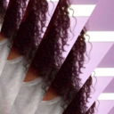 crashingpetals avatar