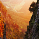 crashingsun-shine avatar