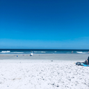 craving-summerrr avatar