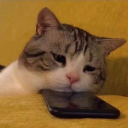 cravosmalacabados avatar