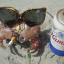 crawdaddyclub avatar