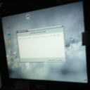 crawling-over avatar