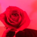 crawlingbcktou avatar