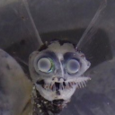 crawlingwithmagg0ts avatar