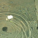 crayon-dreams avatar