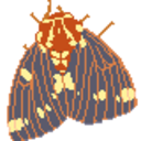 crayonjuicebox-blog avatar