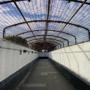 craywolnation avatar