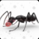 crazed4rsonist avatar