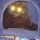 crazedhatter77 avatar