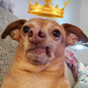 crazierthanmadhatter avatar