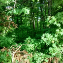 crazy-bout-books avatar