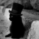 crazy-cat-in-a-top-hat avatar