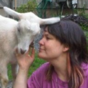 crazy-chicken-merm avatar