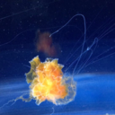 crazy-dorothy avatar