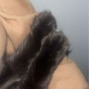 crazy-not-insaanw avatar