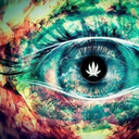 crazy-stoners-blog avatar