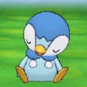 crazybird1329 avatar