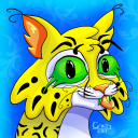 crazycatbunker avatar