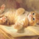 crazycatsdream avatar