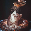 crazycloudybooks avatar