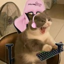 crazykitten003 avatar