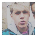 crazymentmofos avatar