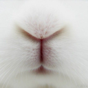 crazysexyvirgin avatar