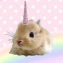 crazysocks avatar
