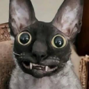 crazyspookies avatar