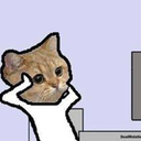 crazywalkerrg avatar