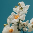 crazyworld-blog avatar