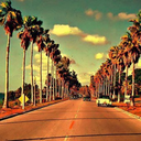 crazyxadventures avatar