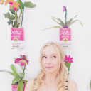 crcraccola avatar