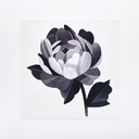 cream-and-sugar avatar