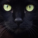 createallow83 avatar