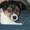 createdbyalicia avatar