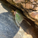 createhappinessspreadlove avatar